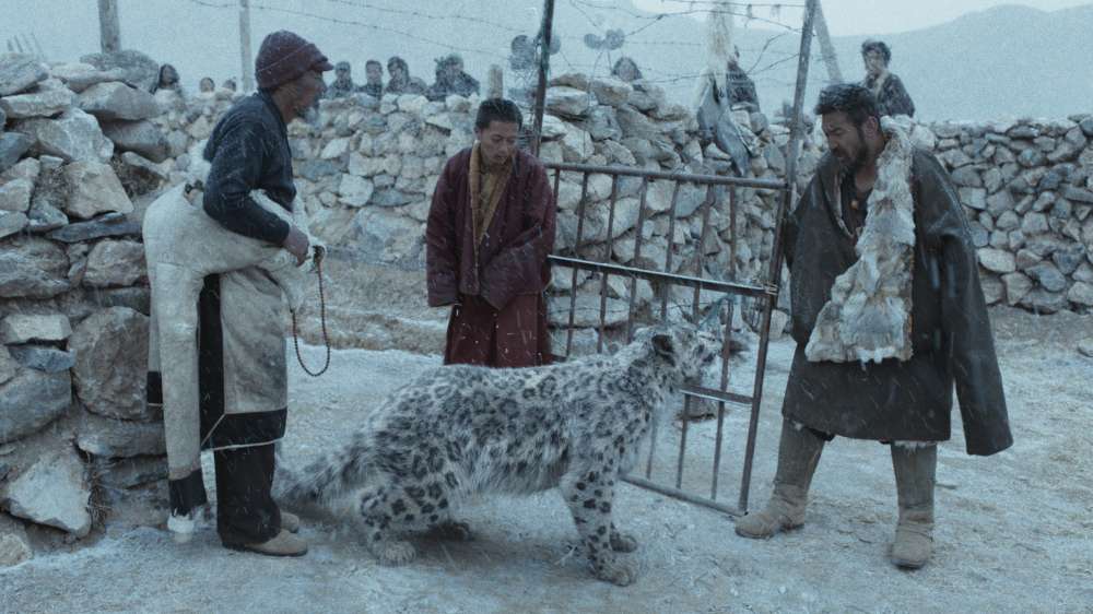 SNEŽNI LEOPARD